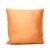 Titian Raw Silk Pillow