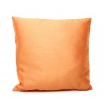 Titian Raw Silk Pillow